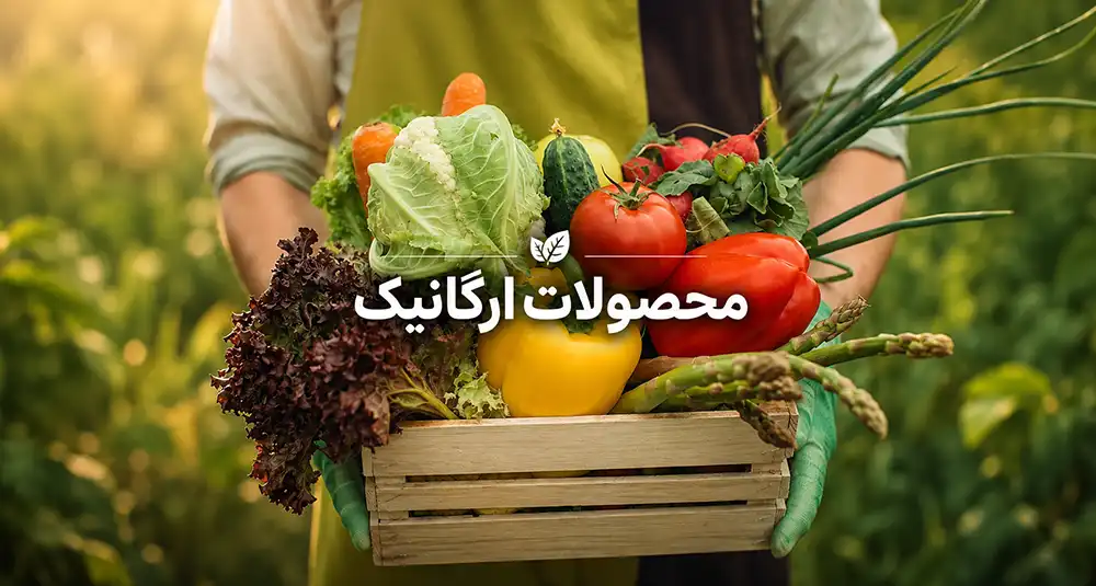 مواد غذایی ارگانیک